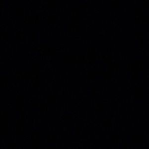 Meet your Posher, Lea